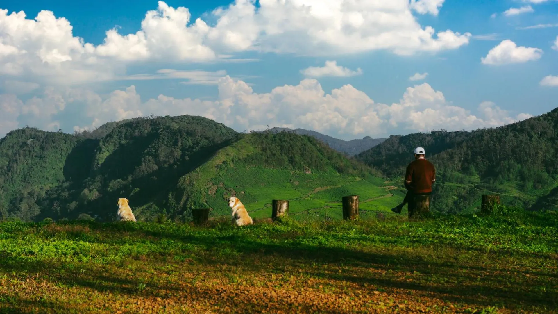 ***  Camelot Resort Munnar Indien