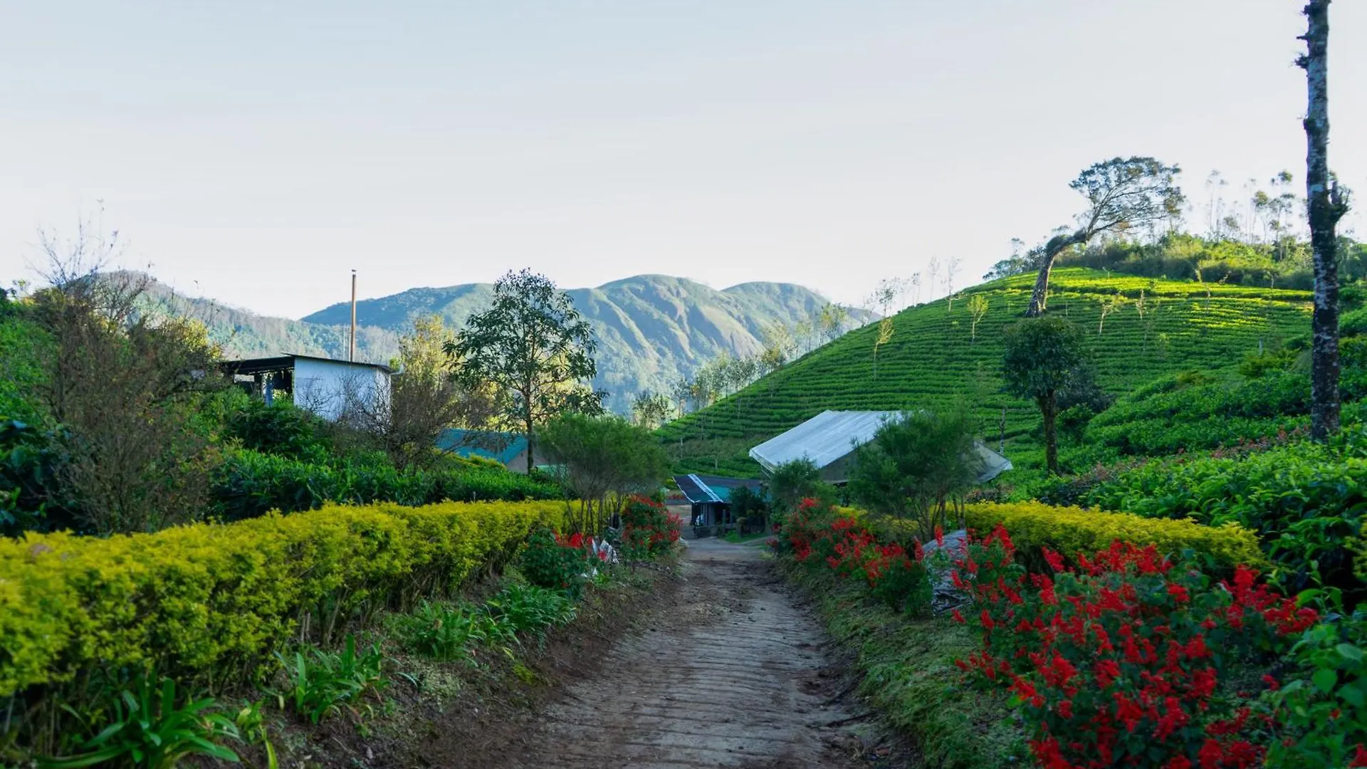 Camelot Resort Munnar 3*,  Indien